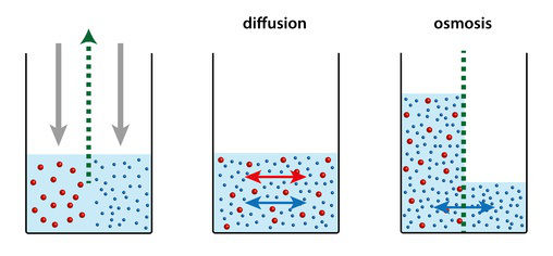 Umkehrosmose Wasserfilter - Funktion und Prinzip